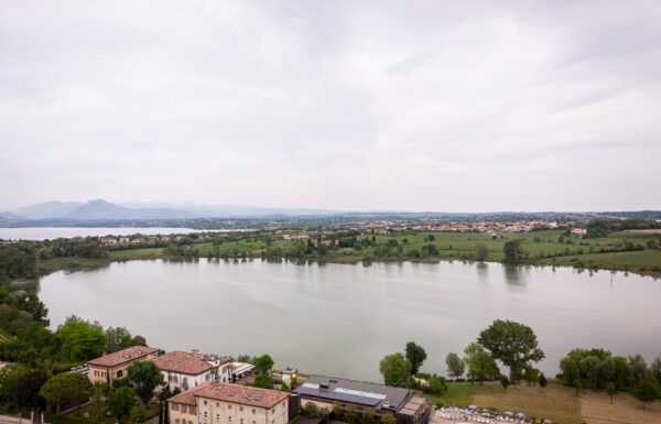 Le ali del Frassino