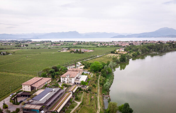 Le ali del Frassino