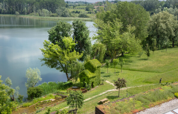 Le ali del Frassino