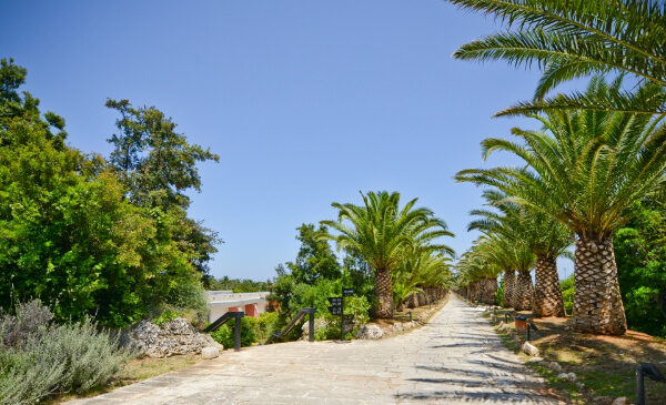 Grand Hotel Masseria Santa Lucia