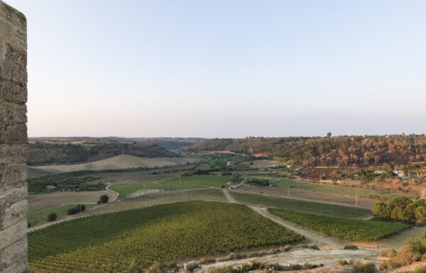 Wine Relais Feudi del Pisciotto