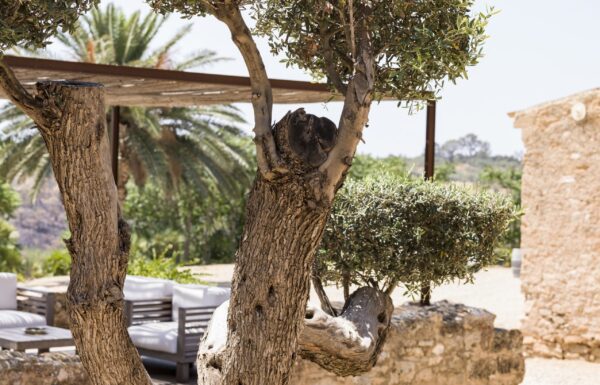 Wine Relais Feudi del Pisciotto